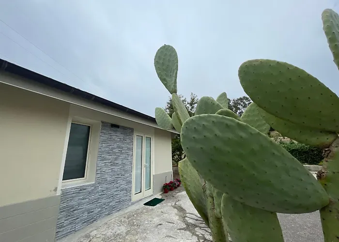 La Petite Maison